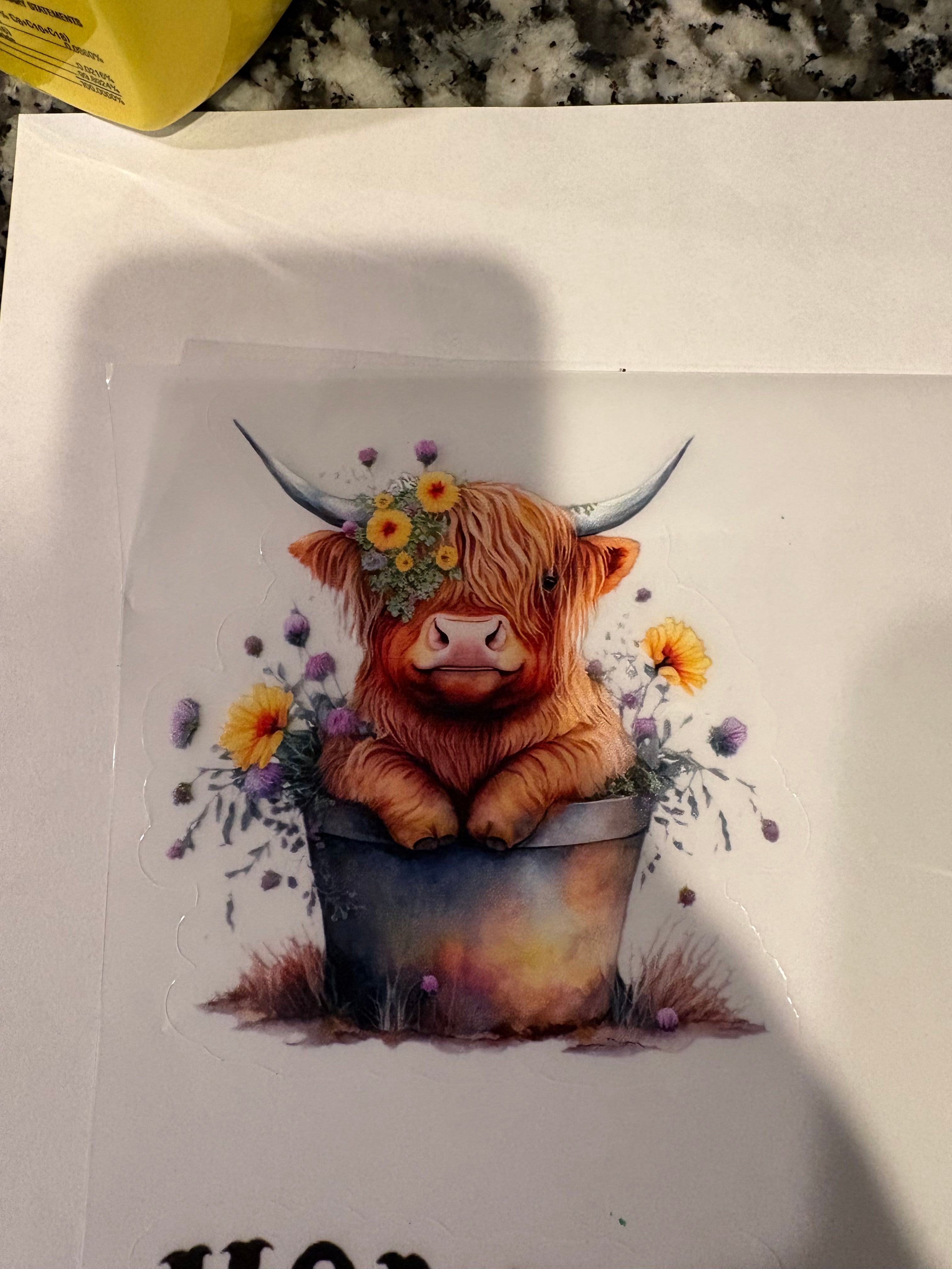 #242